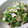 Erry_k's cooksnap of when they made ホウレン草とササミのゴママヨで和えたん♪.
