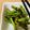 ariyuch's cooksnap of when they made インゲンのバター炒め♪.
