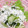 みっくママ's cooksnap of when they made ∲きゅうりとわかめの酢の物∳.