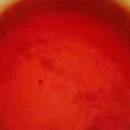 kkll0000's cooksnap of when they made のどから来る風邪に♥生姜紅茶.