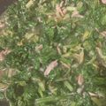 ふぁんころ's cooksnap of when they made 葉先セロリと豚ひき肉の美味しい塩炒め♪.