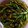 shelly616's cooksnap of when they made ささぎの梅肉いため.