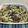 ◆どらしま◆'s cooksnap of when they made ニラ&モヤシのナンプラー焼きそば.
