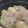 ＊＊＊＊み＊＊＊＊'s cooksnap of when they made 和風ロールキャベツ.