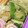 ゆけり３兄弟's cooksnap of when they made お弁当用♪豚のしょうが焼き.