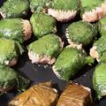 ふぁんころ's cooksnap of when they made 鶏ひき肉のダブルハンバーグ.