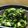 柏木智帆's cooksnap of when they made 大根菜の味噌炒め.
