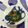 おはなすき's cooksnap of when they made 菜の花との梅もずく酢和え.