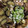 クック2H9MD0☆'s cooksnap of when they made さっぱり！鶏肉と茄子の揚げ浸し.