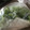 Yokchina's cooksnap of when they made 野菜の水切り方法.