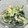 ☆すぬぴっぴ☆'s cooksnap of when they made 小松菜と天かすの和え物.