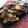 マールマル's cooksnap of when they made 真さばの西京焼き.