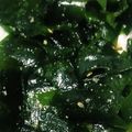 ＊リンちょ＊'s cooksnap of when they made ワカメのナムル.
