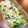 MALOこ's cooksnap of when they made 小松菜とちくわのおしたし.