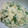 Rina×やいやい's cooksnap of when they made 超簡単♪ほうれん草の白和え.