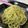 ズッちーニ's cooksnap of when they made 青のりと焼きたらこの簡単パスタ.