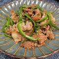 ひとりぼっちのちぇる's cooksnap of when they made 豚肉とピーマンの炒めもの.