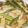 クックDAD's cooksnap of when they made *豚こまでお手軽チンジャオロース*.