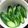 さくさくぱんた's cooksnap of when they made ＊簡単パン粉できゅうりの漬け物＊.