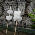 ひとひとの素's cooksnap of when they made 焼きマシュマロ.