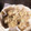 rimiii18's cooksnap of when they made 蒸篭で、本格焼売。.