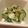 たもたん's cooksnap of when they made きゅうりのさっぱり和え☆.