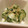 たもたん's cooksnap of when they made きゅうりのさっぱり和え☆.