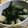 野菜と格闘's cooksnap of when they made わけぎのぬた.
