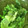 Yokchina's cooksnap of when they made 野菜の水切り ザル不要.