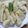ねこのおかあさん☆'s cooksnap of when they made 簡単！カリッと たけのこの天ぷら.