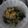 coccus's cooksnap of when they made 小松菜とツナの和え物.