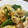 低カロ探検隊's cooksnap of when they made お麩とさやえんどうの玉子とじ.