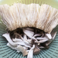 抹茶ソーダ's cooksnap of when they made きのこを干してみた.