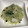 ちゃんこまんさん's cooksnap of when they made 簡単なのに本格的な味！春雨の中華炒め.