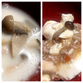 抹茶ソーダ's cooksnap of when they made きのこを干してみた.