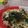 ayako0527's cooksnap of when they made ツナと水菜の和風パスタ.