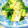 めみたん☆'s cooksnap of when they made ほうれん草と豆腐の甘辛炒め.