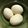 mi_ricky's cooksnap of when they made 簡単煮卵・朝作って夕飯にヽ(^o^).