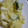 はにぉ's cooksnap of when they made 皮をむかず簡単！新じゃがとゆで卵のサラダ.