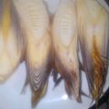 mmiwa's cooksnap of when they made ホックホク焼き筍！.