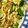 komasan♪'s cooksnap of when they made ずぼら　さやえんどうの卵とじ　麺つゆで.