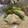 よちよち's cooksnap of when they made 鮭ときのこの紙包み焼き みそマヨミックス.