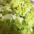 クックHYY12Y☆'s cooksnap of when they made カフェご飯みたいに盛れる♪レタスの使い方.