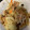 みうらけいこ's cooksnap of when they made 基本の野菜炒め.