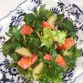 クック5E2Q86☆'s cooksnap of when they made サーモンマリネとグレープフルーツサラダ　.