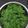 クックX3KZFP☆'s cooksnap of when they made いろいろ使える✿よもぎペースト.