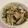 papikun's cooksnap of when they made カリフラワーの葉っぱと茎のサラダ.