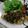 kouchama's cooksnap of when they made 鱈のムニエル ―香味ソース―.