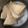 コロどろっぷ's cooksnap of when they made 圧力鍋で簡単、筍の茹で方.