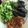 Yokchina's cooksnap of when they made あ~もったいない！天ぷら衣が余ったら･･.